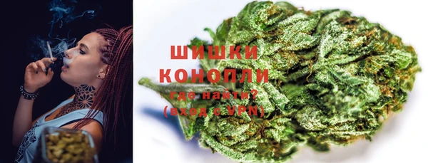 амф Пестово